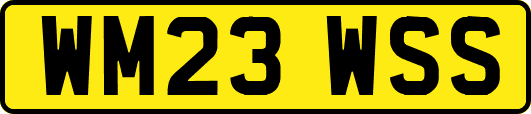 WM23WSS