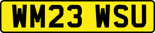 WM23WSU