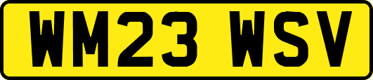 WM23WSV