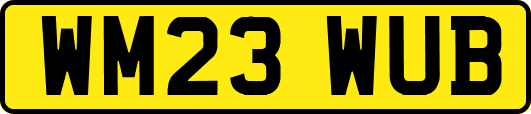 WM23WUB