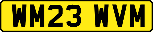 WM23WVM