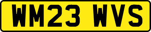 WM23WVS