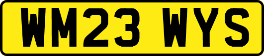 WM23WYS