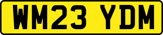 WM23YDM