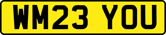 WM23YOU