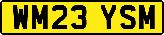 WM23YSM