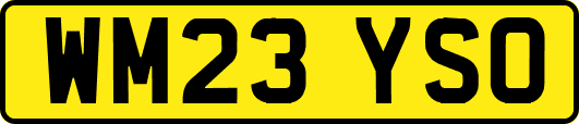 WM23YSO