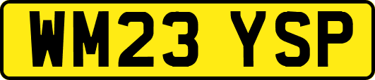 WM23YSP