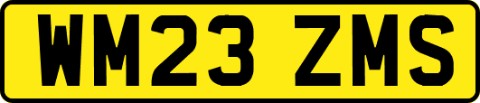 WM23ZMS