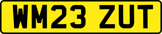WM23ZUT