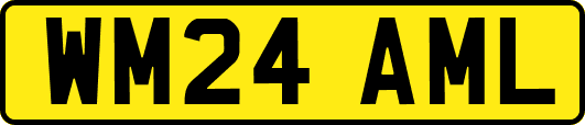 WM24AML