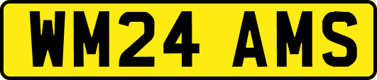 WM24AMS