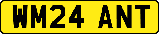 WM24ANT