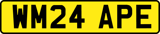 WM24APE