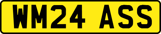 WM24ASS