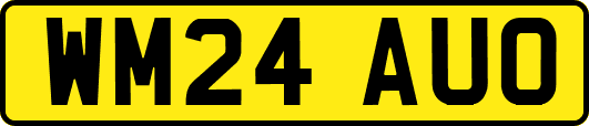 WM24AUO