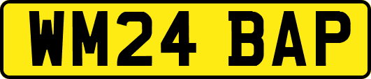 WM24BAP