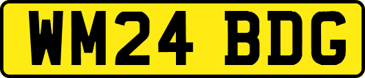 WM24BDG