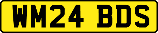 WM24BDS