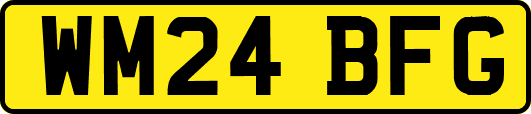 WM24BFG