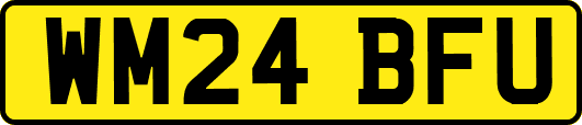 WM24BFU
