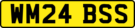 WM24BSS
