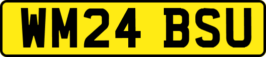 WM24BSU