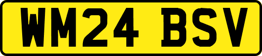 WM24BSV