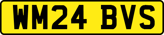 WM24BVS