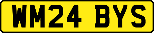 WM24BYS