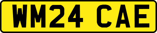 WM24CAE