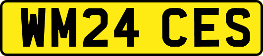 WM24CES