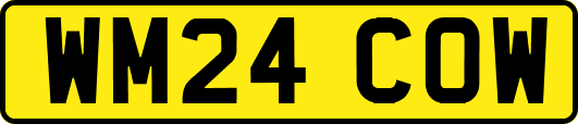 WM24COW