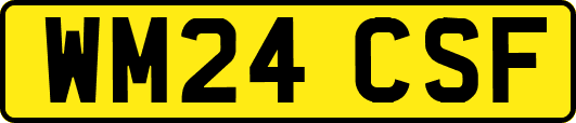 WM24CSF