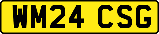 WM24CSG