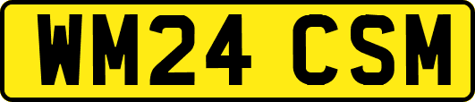 WM24CSM