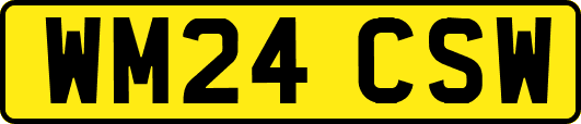 WM24CSW