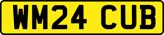 WM24CUB