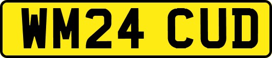 WM24CUD