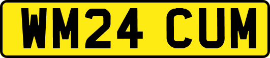 WM24CUM