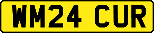 WM24CUR