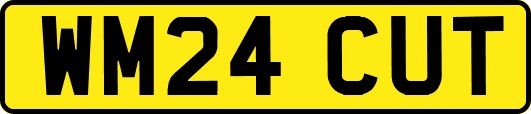 WM24CUT