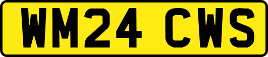 WM24CWS