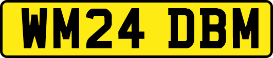 WM24DBM
