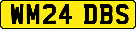WM24DBS