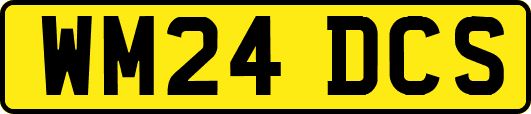 WM24DCS