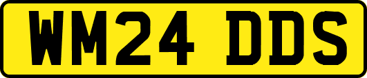 WM24DDS