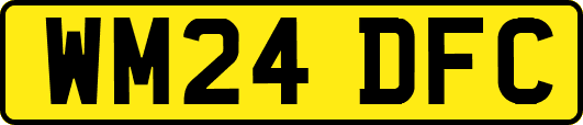 WM24DFC