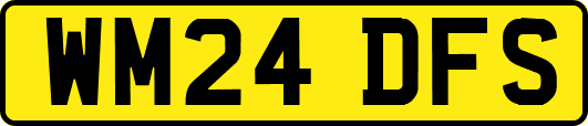 WM24DFS