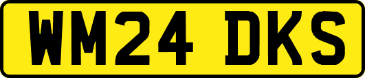 WM24DKS